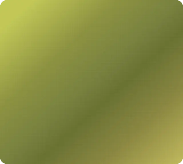 filter-value-image-olive.webp